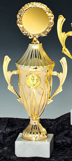 Golden cup 28.5 cm