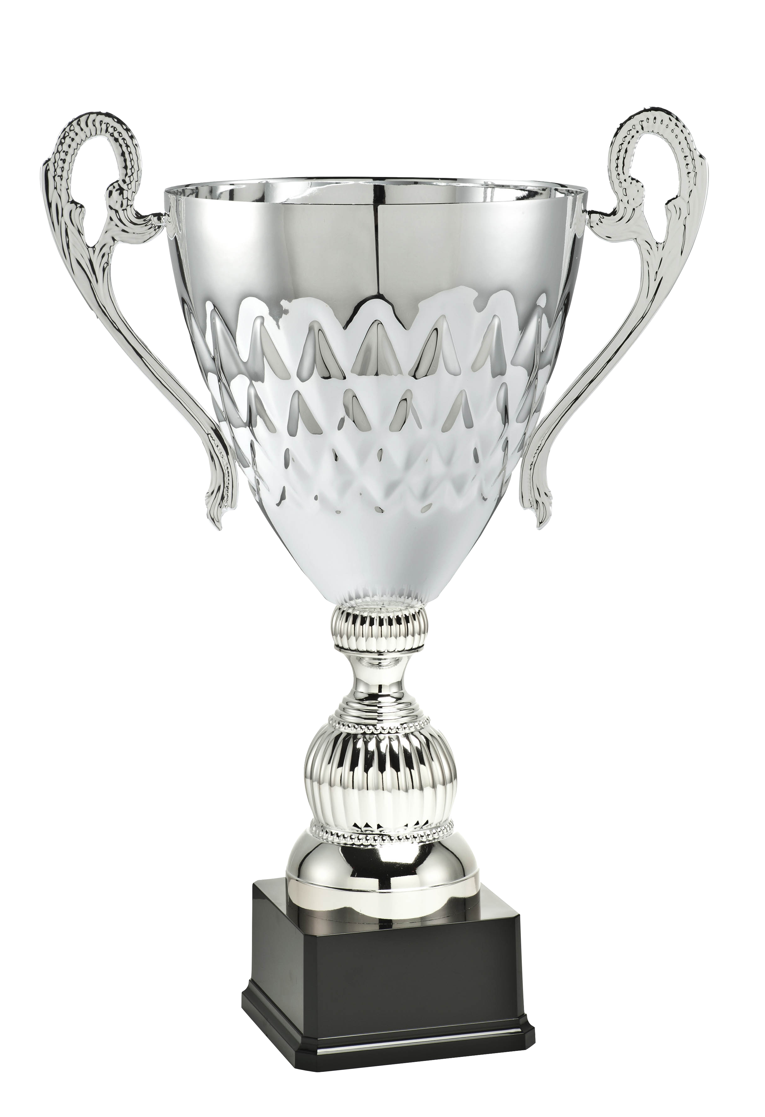 Luxury Silver Trophy
