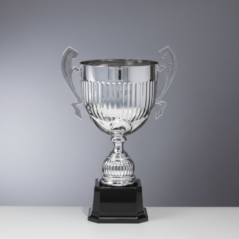 Silver trophy with a black base on a gray background